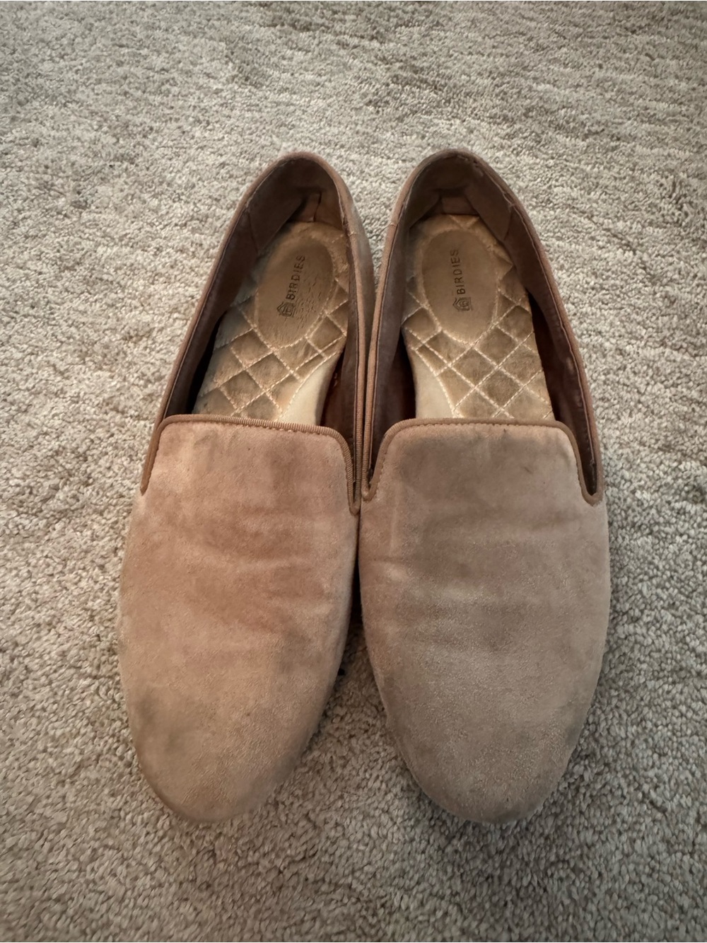 Birdies Taupe Suede Slip-On Loafers
